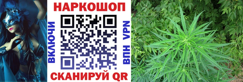 Наркотические вещества Санкт-Петербург Псилоцибиновые грибы  Меф  АМФЕТАМИН  Марихуана  Кокаин 