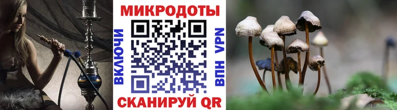 Псилоцибиновые грибы Psilocybe  наркошоп  Санкт-Петербург 