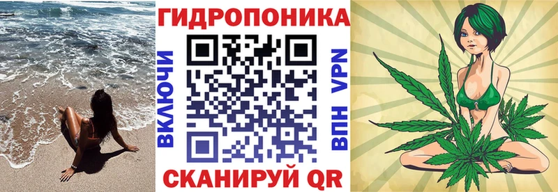 Бошки Шишки план  Санкт-Петербург 